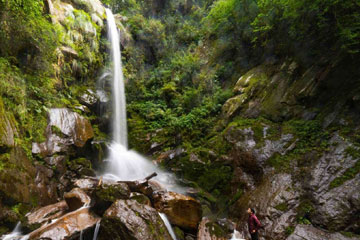 Chandigarh Jibhi (Tirthan Valley, Shoja, Jalori Pass) 5 Days